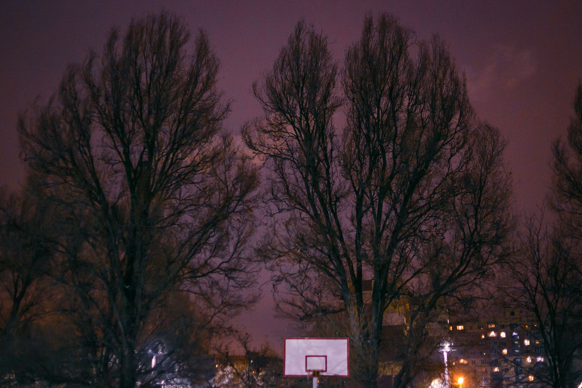 Cold Sky