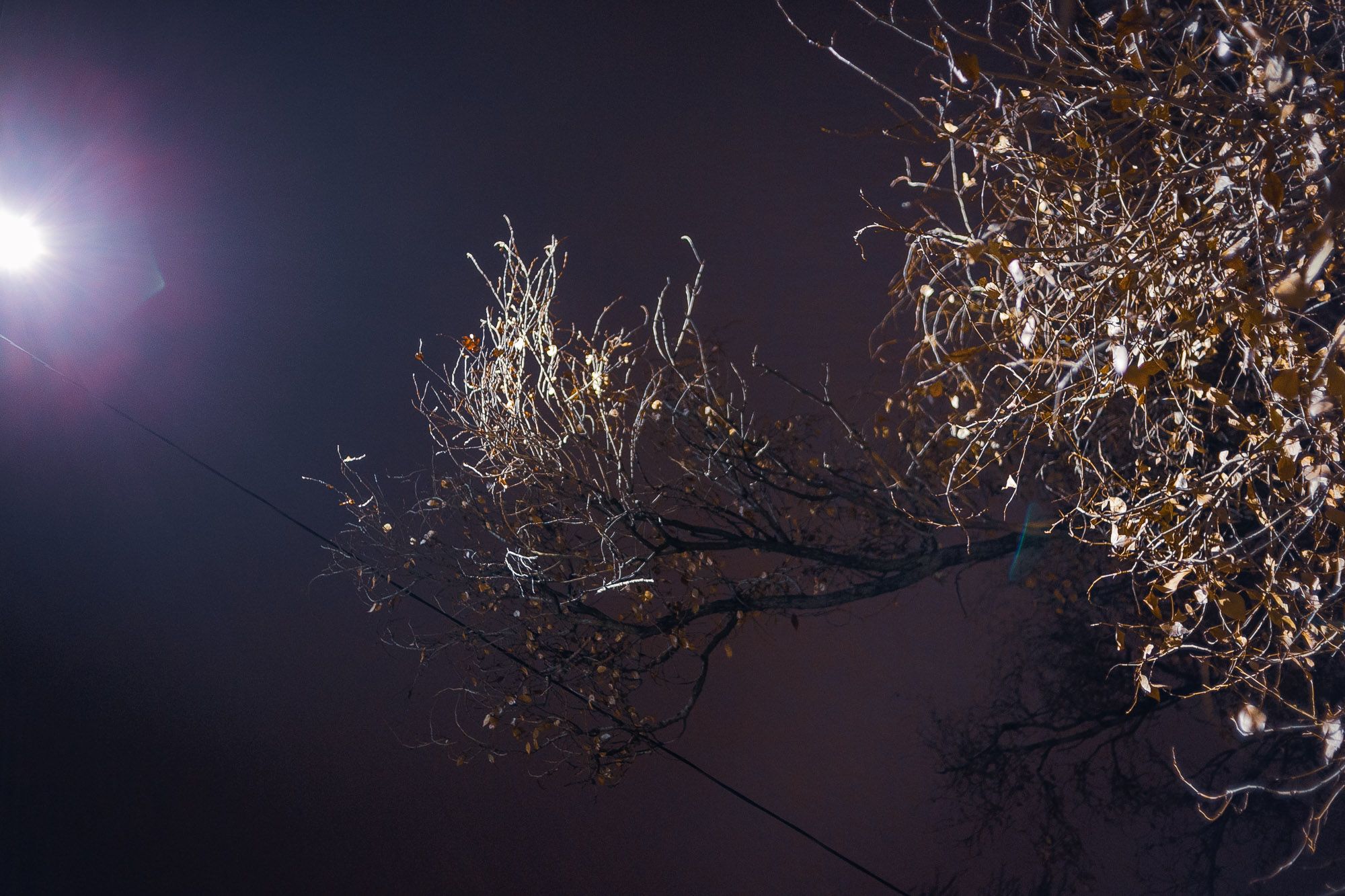 Long Cold Night